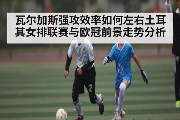 瓦尔加斯强攻效率如何左右土耳其女排联赛与欧冠前景走势分析